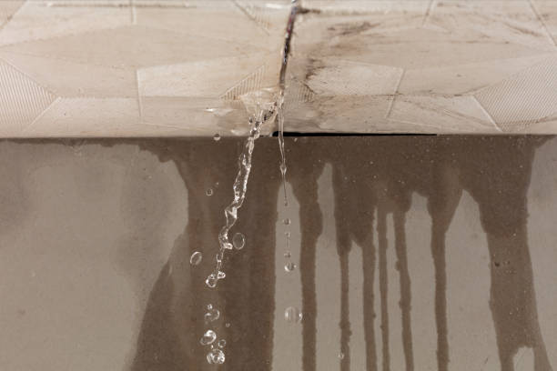 Professional Structural Drying technician working in Brook Park, MN
